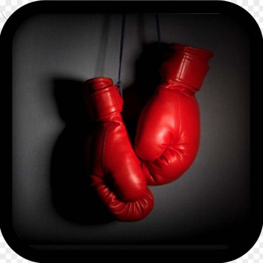 Boxing Gloves World Association Sport Pound For Heavyweight PNG