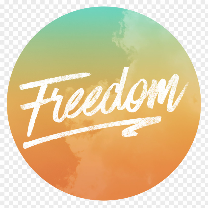 Church Freedom Fellowship Logo Basics 101 PNG