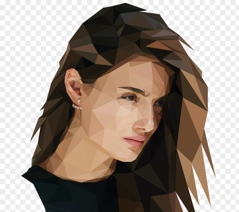 Low Poly Art Facebook PNG