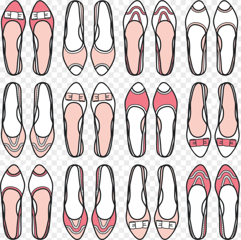 Ms. Shoes Vector Drawing Ballet Shoe Illustration PNG