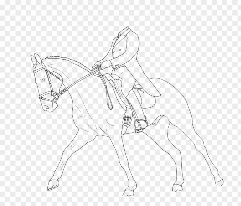 Mule Dutch Warmblood Bridle Line Art Sketch PNG