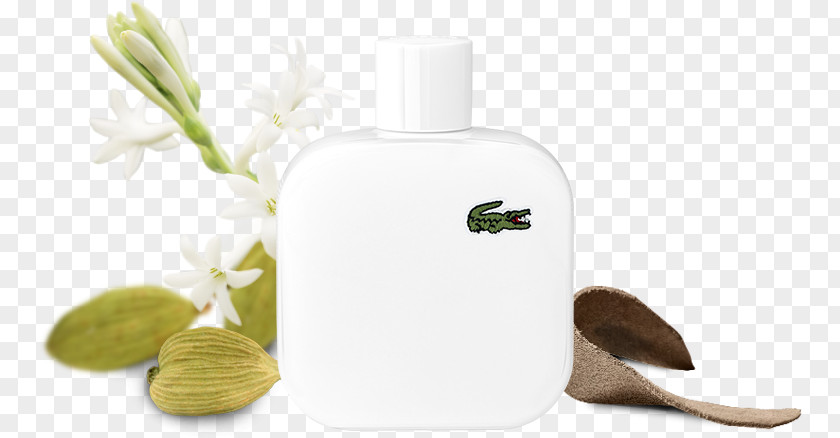 Fresh Water Spray Perfume Eau De Toilette Lacoste Fragrance Oil Aftershave PNG