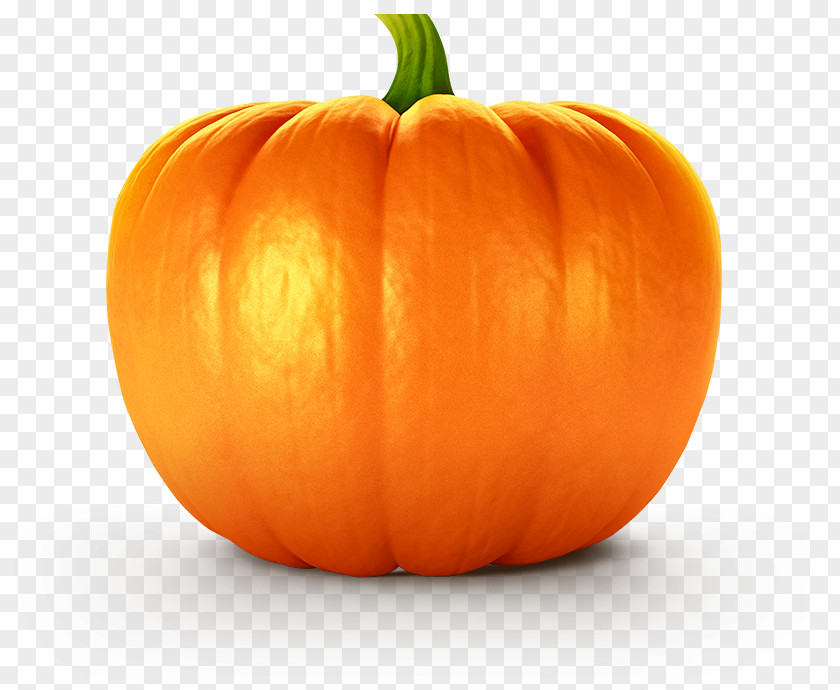 Pasty Pumpkin Pie Cucurbita Vegetable Seed PNG