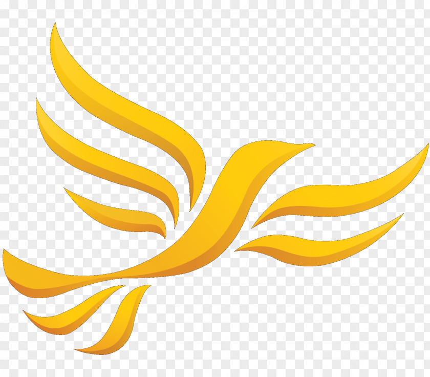 Thaipusam Wales Liberal Democrats On Kent County Council Montgomeryshire Welsh PNG