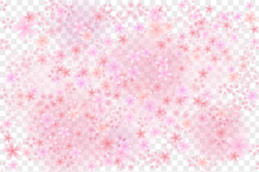 Vector Pink Cherry Blossoms Blossom PNG