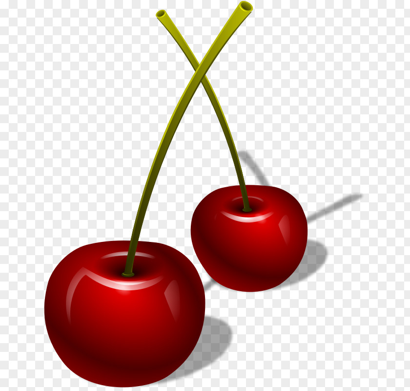Cherry Cerasus Berry Clip Art PNG