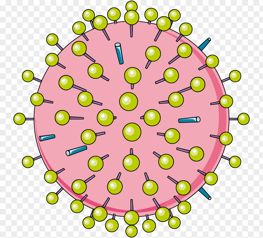 Cyprinid Herpesvirus 3 Virus Influenza Laboratoires Servier Medicine PNG