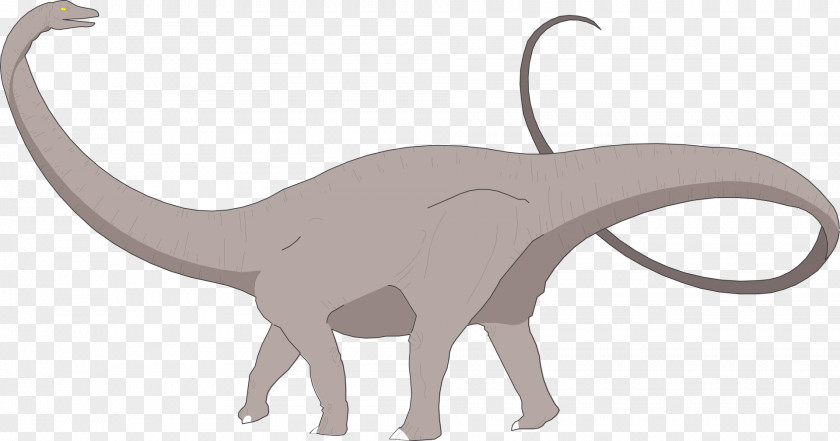 Dinosaur Apatosaurus Brachiosaurus Brontosaurus Size PNG