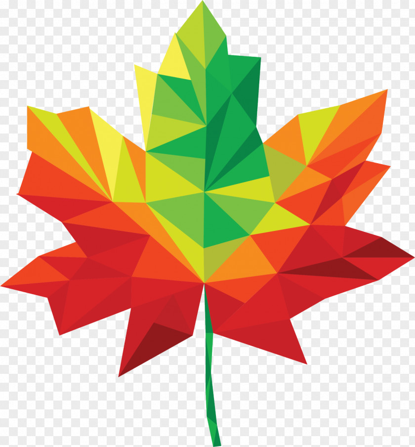 Maple Leaf Geometry Glass Quadro Shape PNG