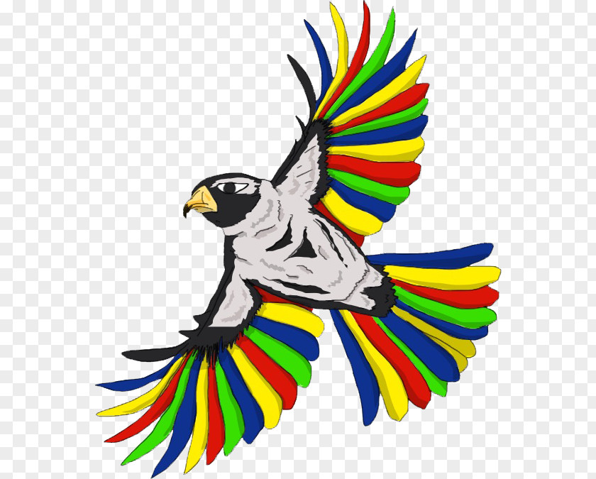 Multi Color Bird Parrot Macaw PNG