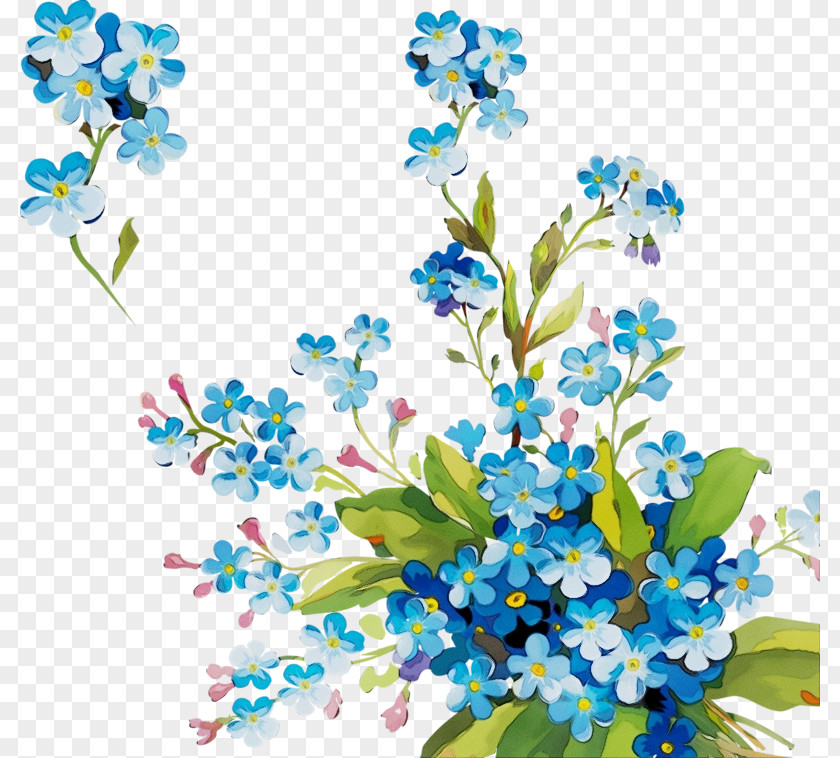 Wildflower Branch Alpine Forget-me-not Flower Blue Plant PNG