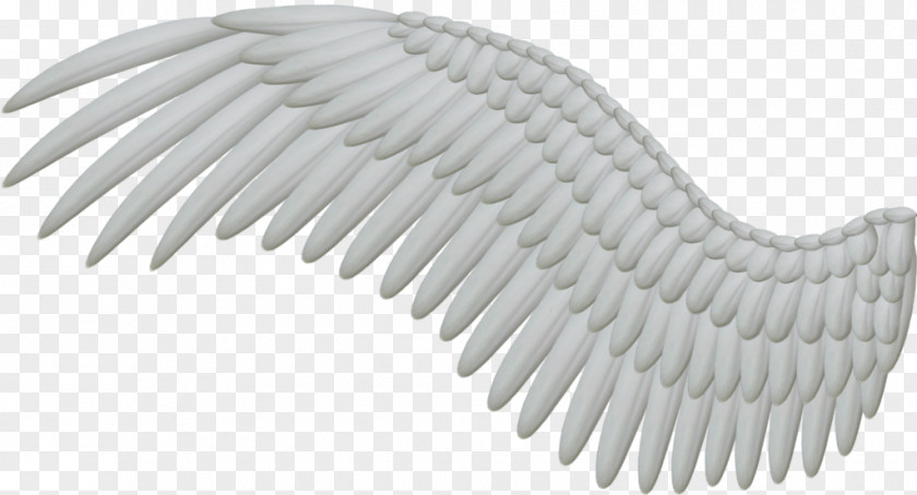 Wings Angel Wing Feather Clip Art PNG