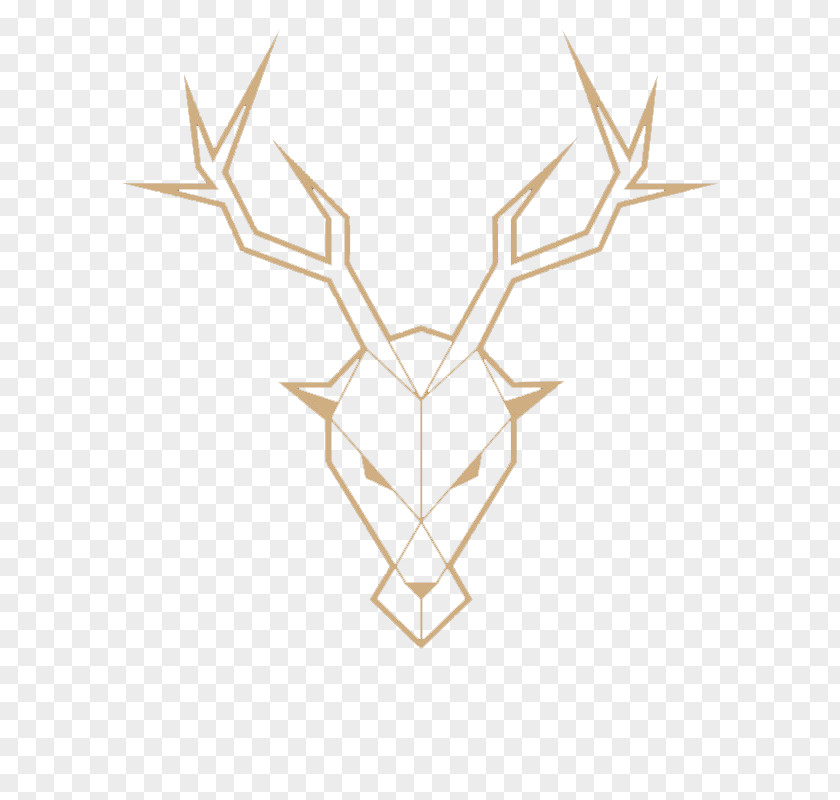 Deer Lines Creative Logo Adobe Illustrator Line PNG