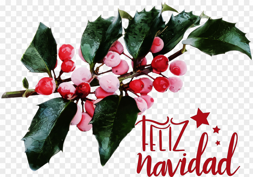 Feliz Navidad Merry Christmas PNG