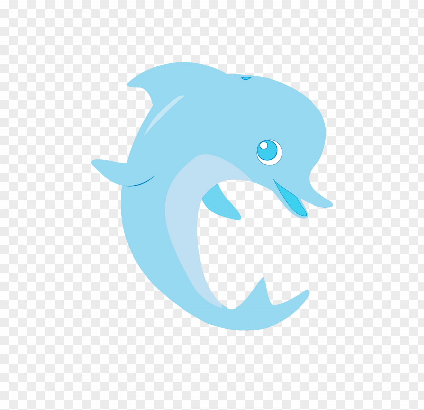 Fin Common Dolphins Fish Cartoon PNG