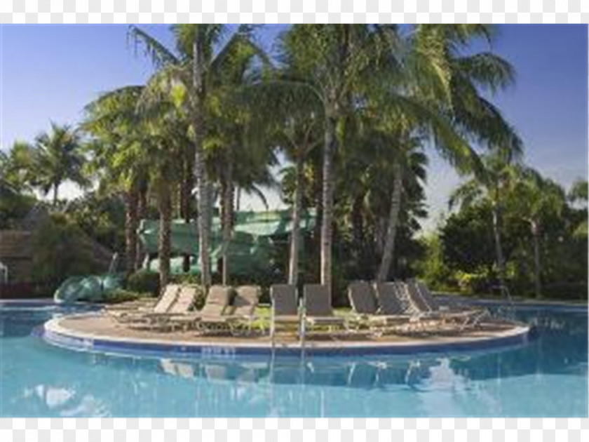 Hotel Hyatt Regency Coconut Point Resort And Spa Swimming Pool PNG
