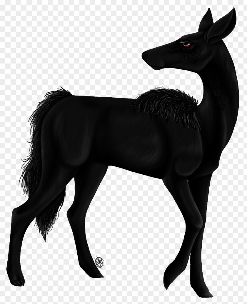 Mustang Foal Stallion Deer Pack Animal PNG