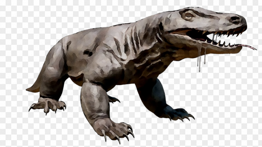 Reptile Megalania Komodo Dragon Tyrannosaurus Lizard PNG