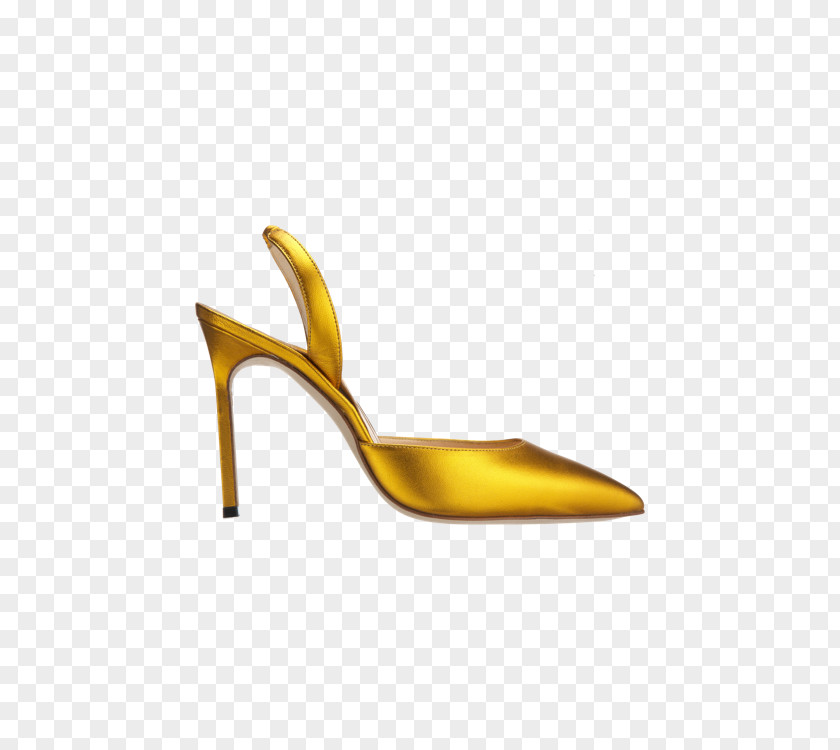 Design Pump Shoe PNG