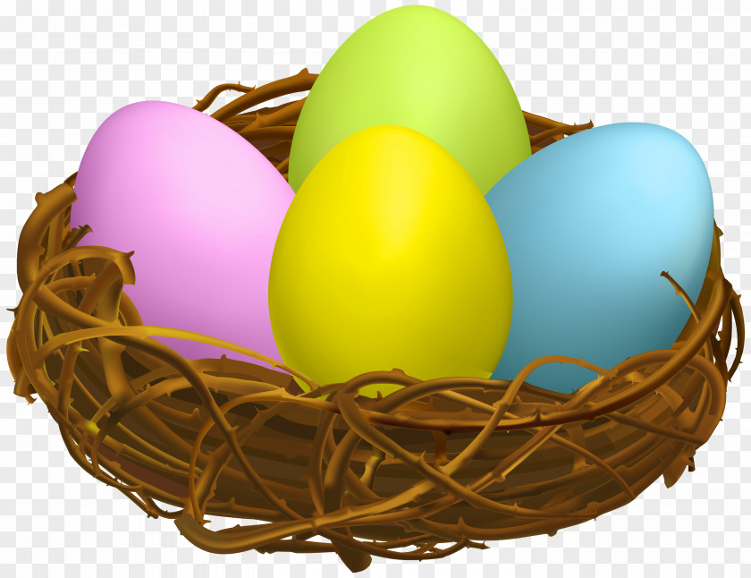 Easter Egg Nest Transparent Clip Art Bird Chicken PNG