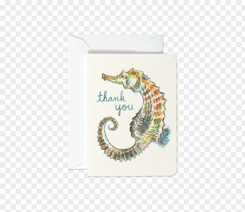 Thank You Card Greeting & Note Cards Seahorse Birthday Wish PNG