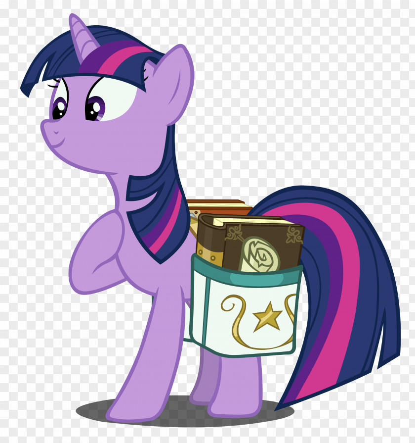 Twilight Sparkle Rarity Pony Pinkie Pie Fluttershy PNG