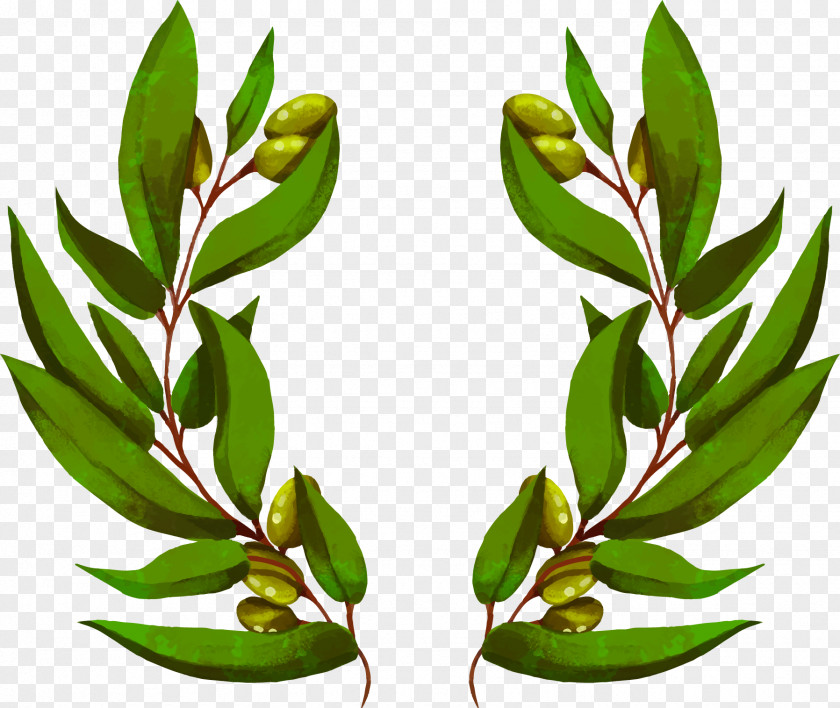 Vector Hand Painted Olive Branch Euclidean Flower Bouquet Wallpaper PNG