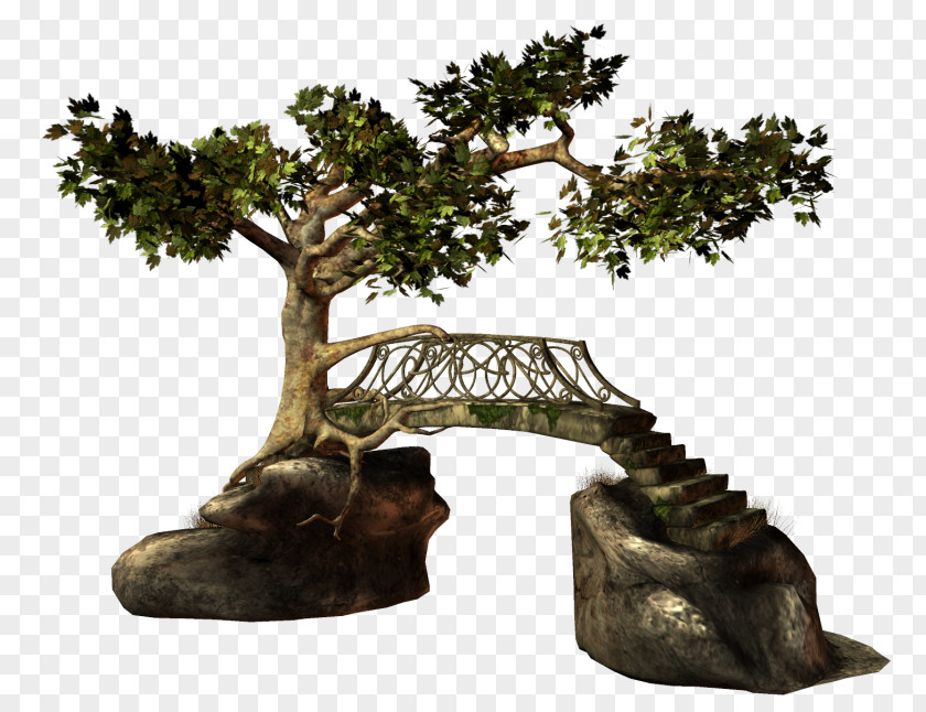 Bridge Tree Clip Art PNG