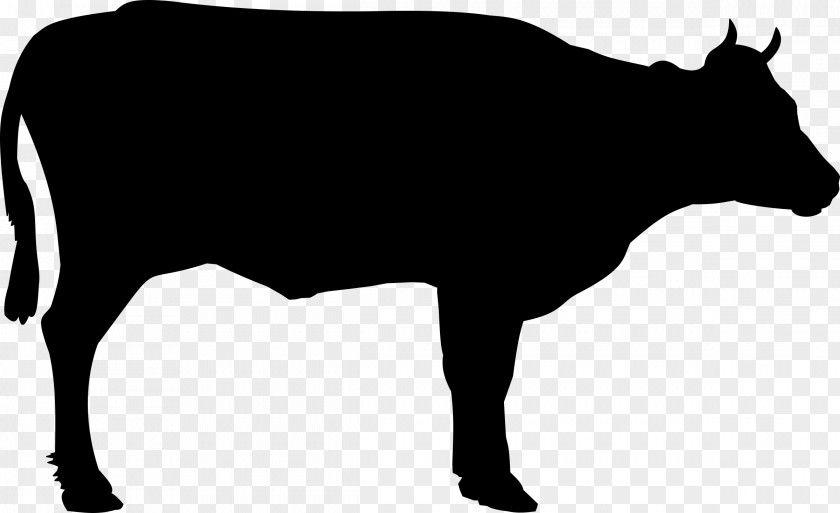 Clarabelle Cow Beef Cattle Welsh Black Clip Art PNG