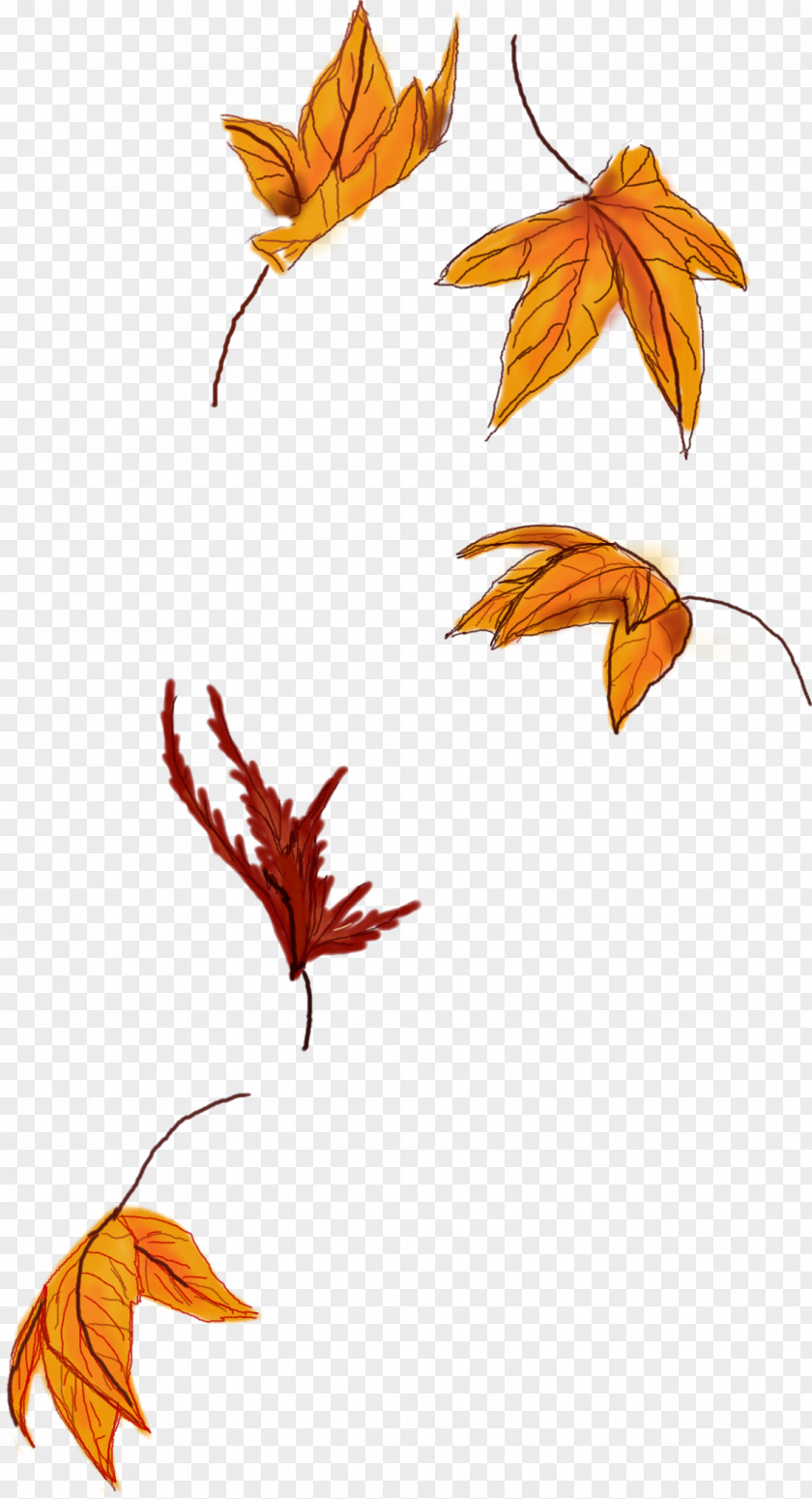 Leaf Autumn Color Maple Sticker PNG