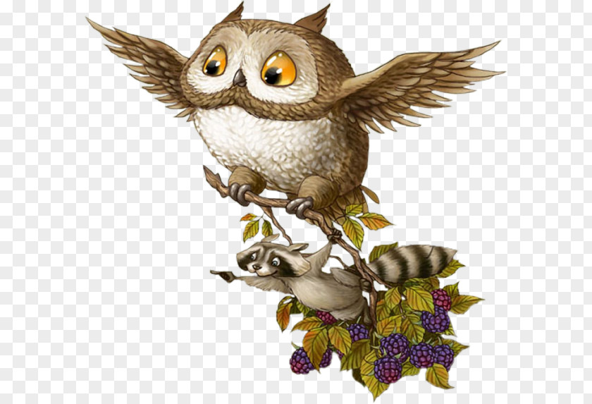 Owl Baby Owls Bird Barn Raccoons PNG