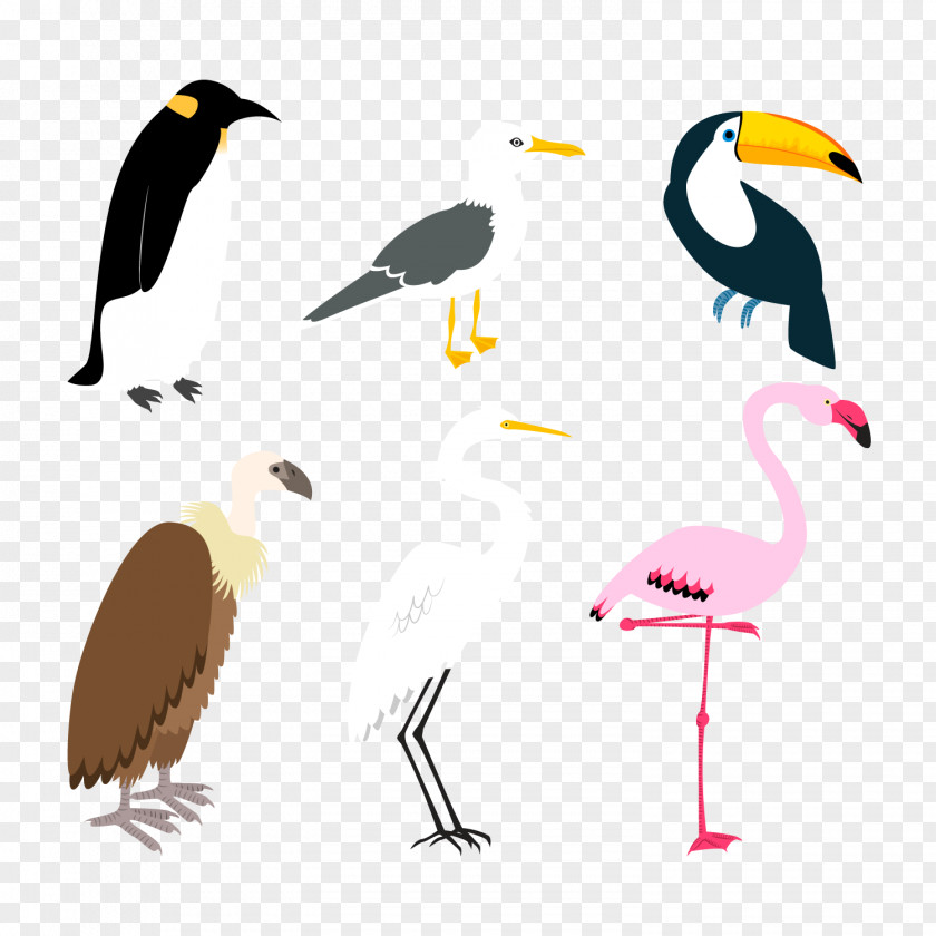 Creative Design Vector Material Birds Bird Flamingos Crane Plot PNG