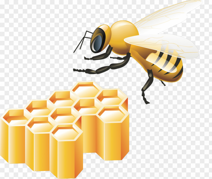 Honey Bee Free Bitcoin HoneyMoney Android Application Package CAPTCHA PNG