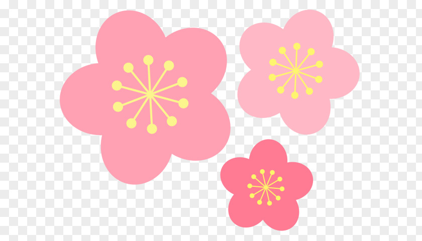 Peach Stock Illustration Image Flower PNG