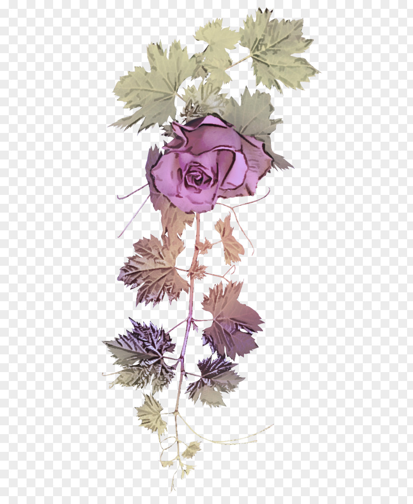 Petal Pink Lavender PNG