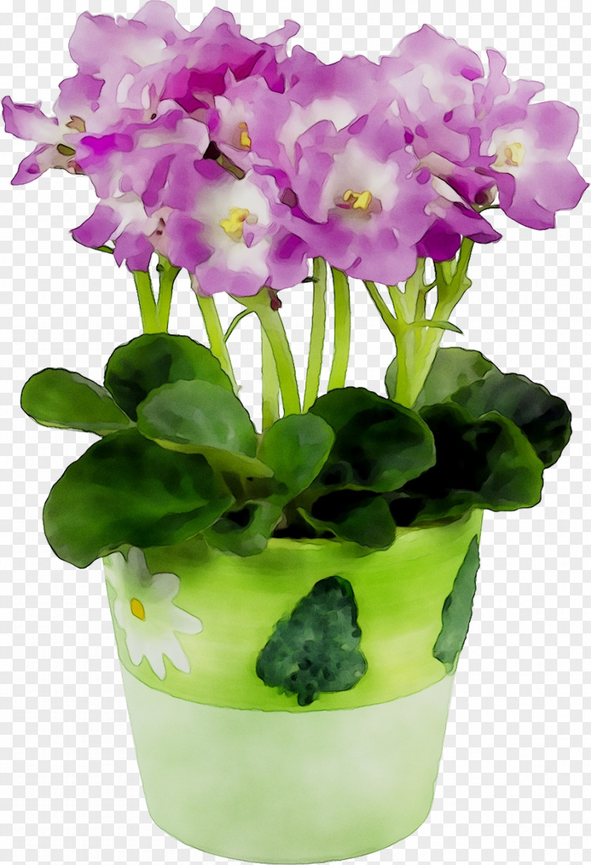 Primrose Cattleya Orchids Flowerpot Moth PNG