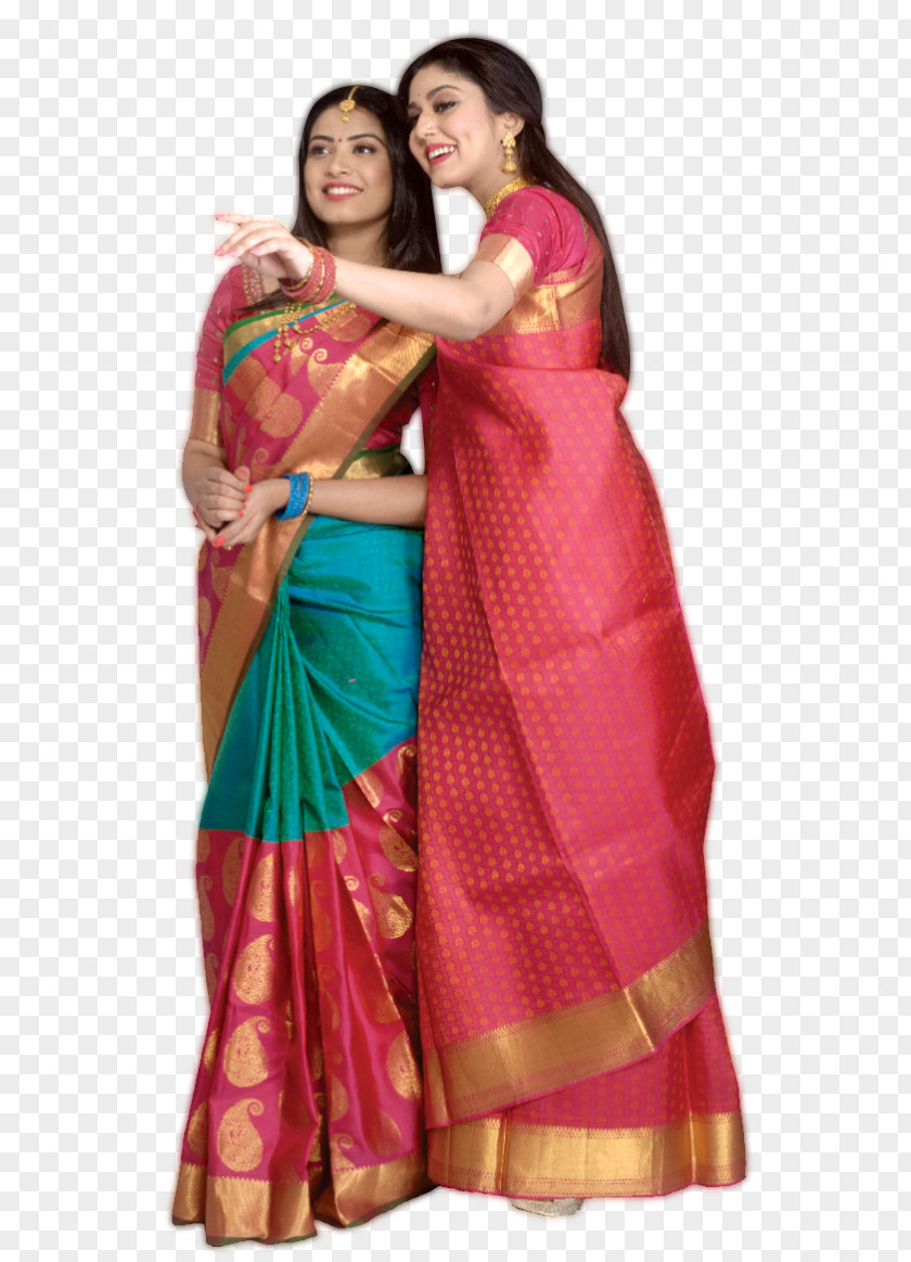 Saree Sari Silk Image Model PNG
