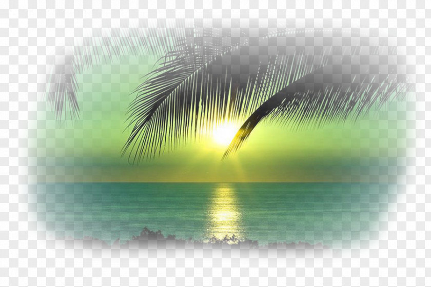 Scenery Sea Desktop Wallpaper Clip Art PNG