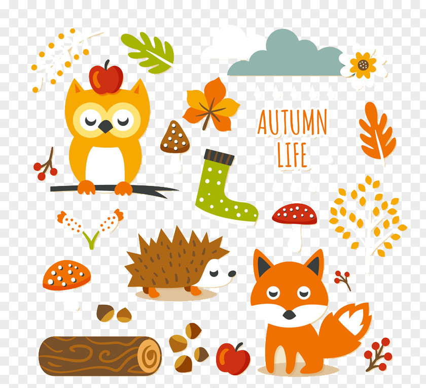 20 Paragraph Autumn Forest Elements Stickers Vector Material Cuteness Clip Art PNG