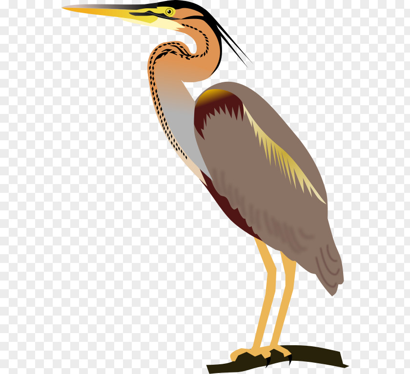 Bird Beak Purple Heron Western Swamphen Great Blue PNG