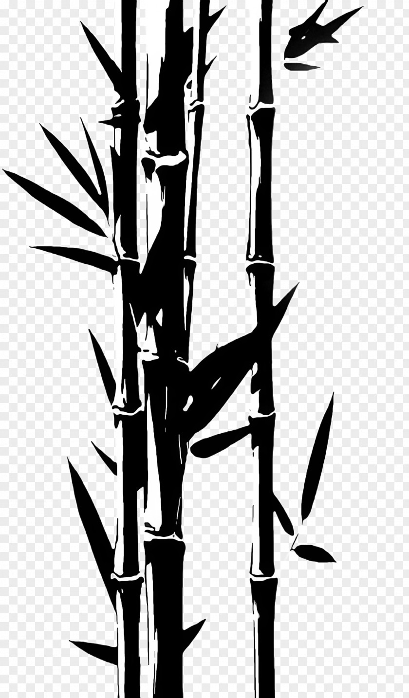 Flower Tree Bamboo Plant Stem Grass Family PNG