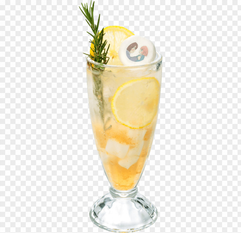 Lemonade Cocktail Garnish Harvey Wallbanger Orange Drink Spritzer Non-alcoholic PNG