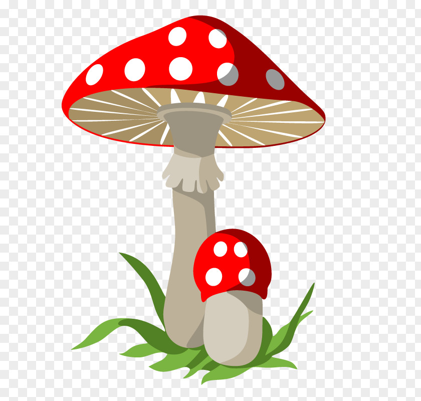 Mushroom Poisoning Fungus Clip Art PNG