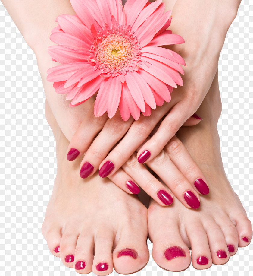 Nails Manicure Nail Foot Pedicure Hand PNG