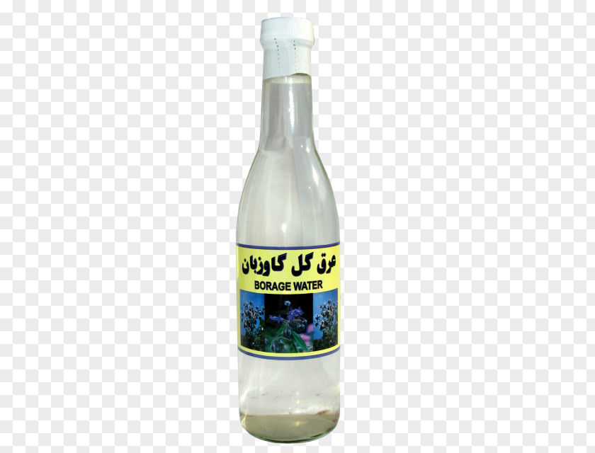 Watering A Plant Juice Food Herb Flavor PNG