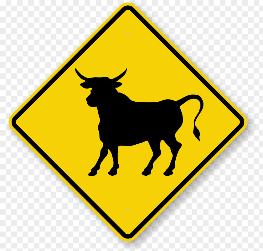 Bull Graphic Cattle Open Range Warning Sign Road PNG