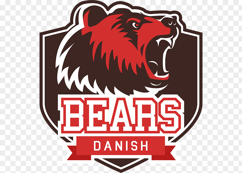 Cis Sud The International 2017 Dota 2 Danish Bears Team Singularity Entity Esports PNG