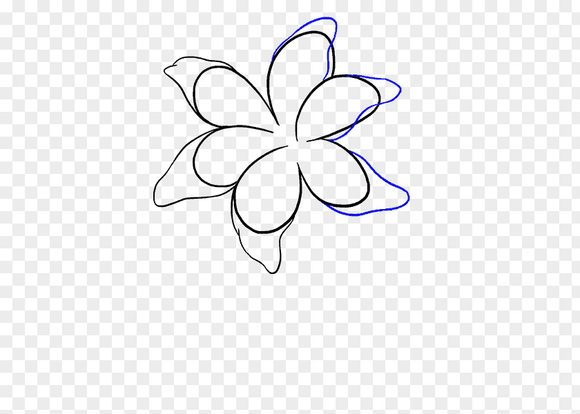 Flower Drawing How-to Lilium Line Art PNG