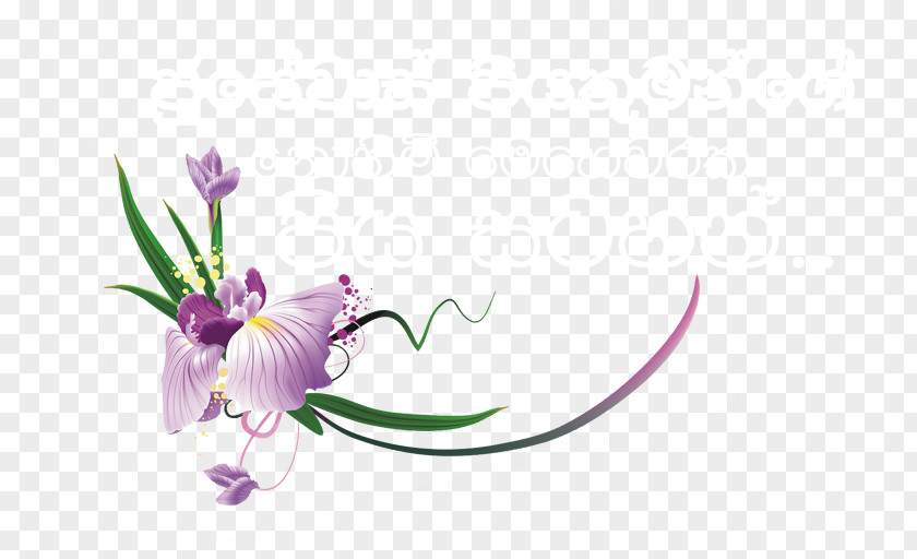 Joseph Vaz Petal Floral Design Plant Stem Violet PNG