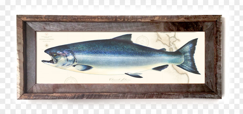 King Salmon Sardine Fauna PNG